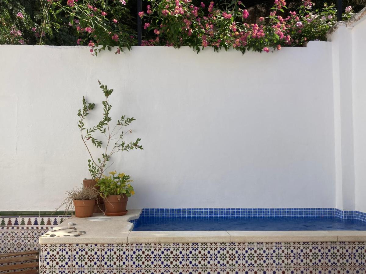 Apartament Casa Clemente 32, Private House With Plunge Pool Malaga Zewnętrze zdjęcie